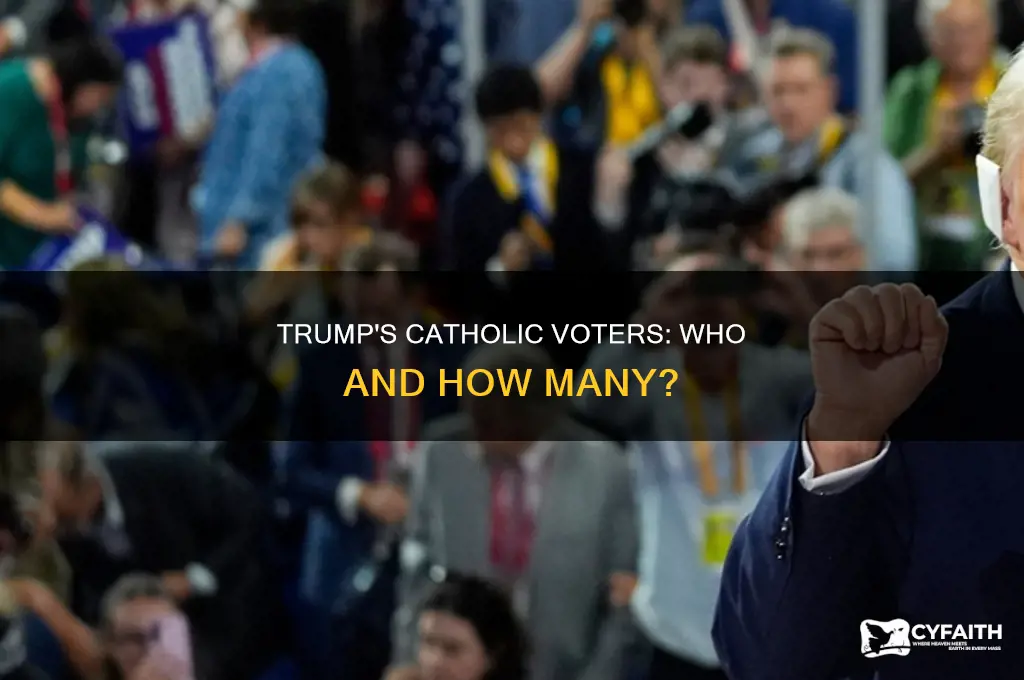 what of catholics voted for trump