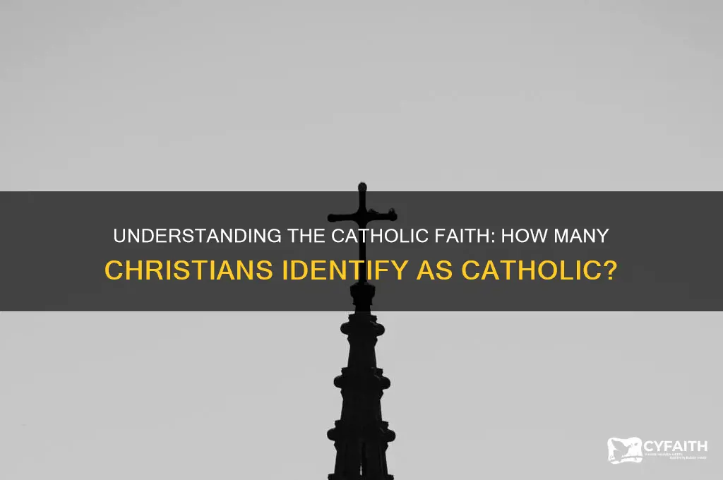 what of christians are catholic