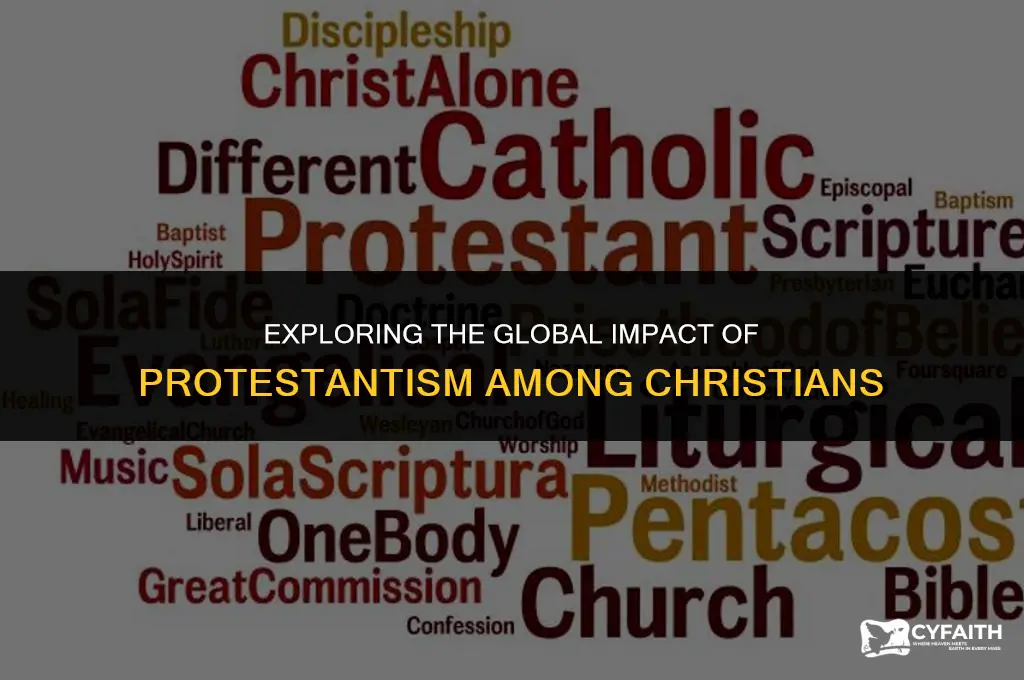 what of christians are protestant