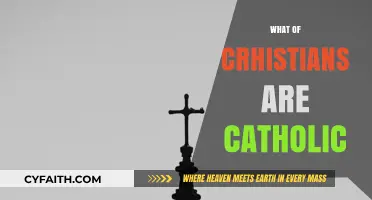How Many Christians Identify as Catholic? Exploring Global Faith Statistics