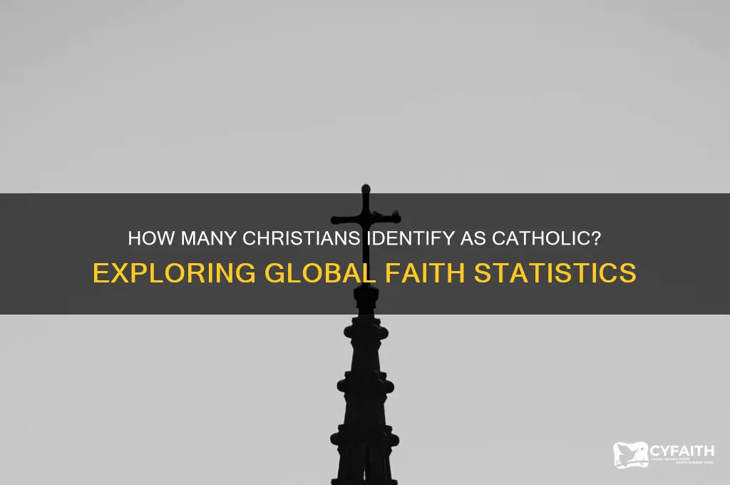 what of crhistians are catholic
