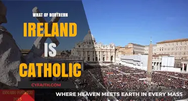 Catholic Population in Northern Ireland: Who and Where?