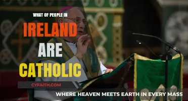 Irish Catholics: Population and Cultural Significance