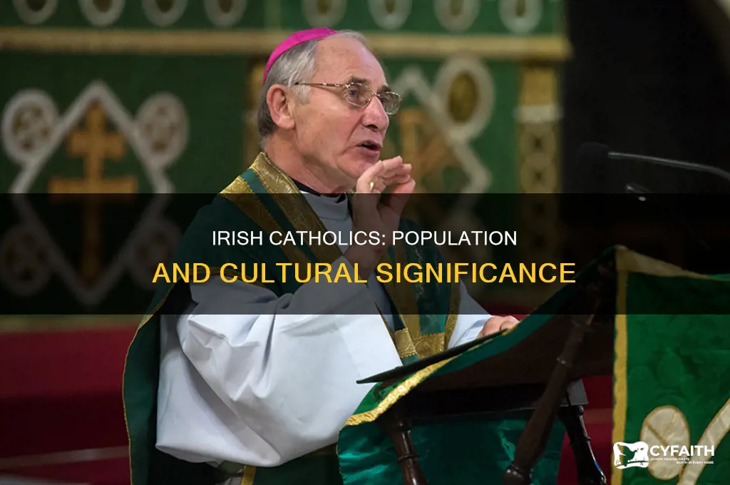 what of people in ireland are catholic