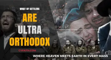 Ultra-Orthodox Settlers: Their Role and Influence in Modern Communities