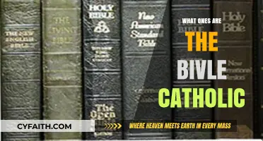 Catholic Bible: What Ones to Read and Why