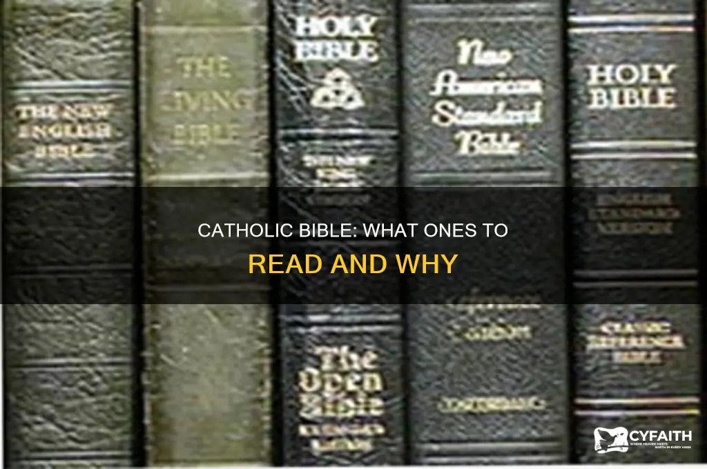 what ones are the bivle catholic