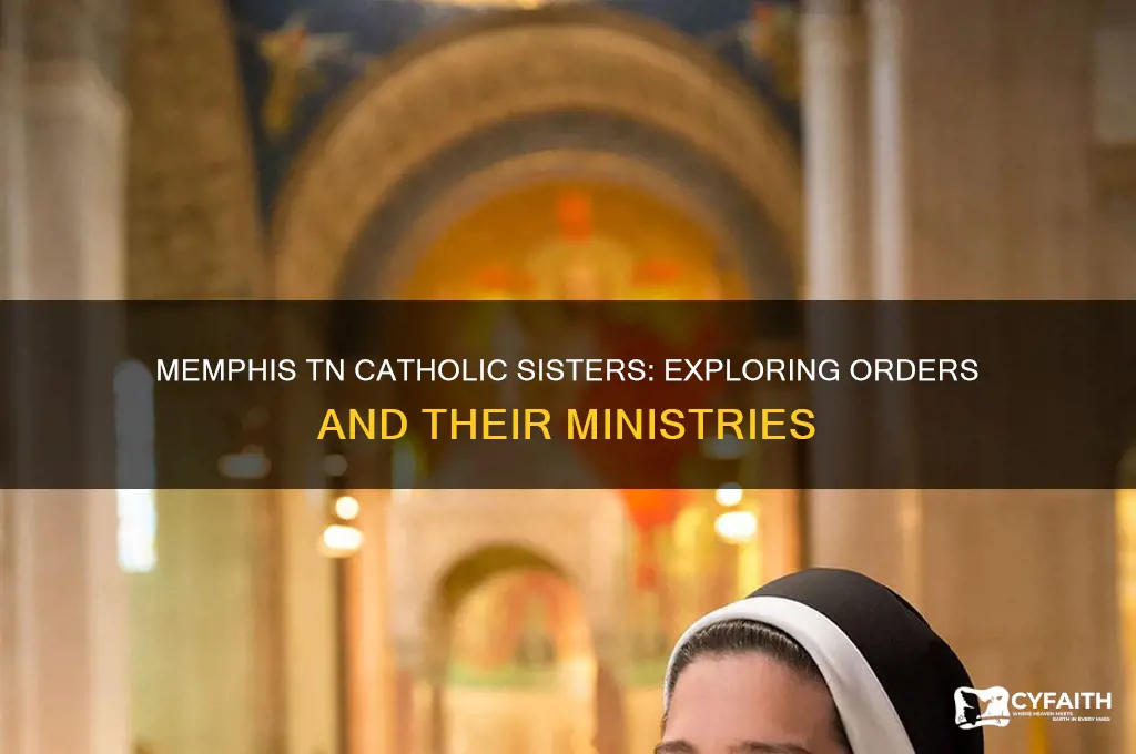 what order of catholic sisters are located in memphis tn