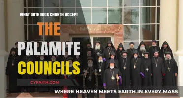 Which Orthodox Churches Embrace the Palamite Councils Today?