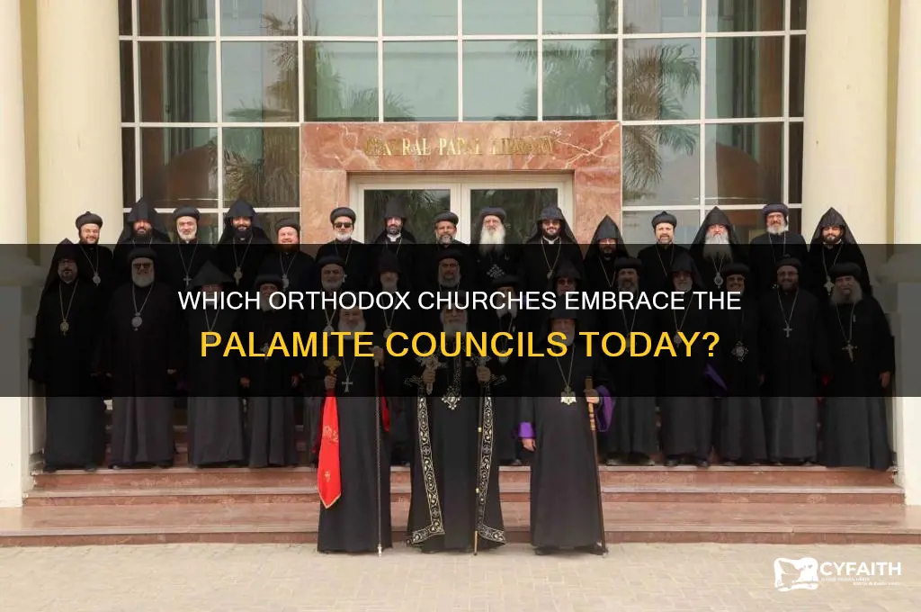 what orthodox church accept the palamite councils