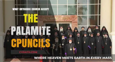 Which Orthodox Churches Embrace the Palamite Councils Today?