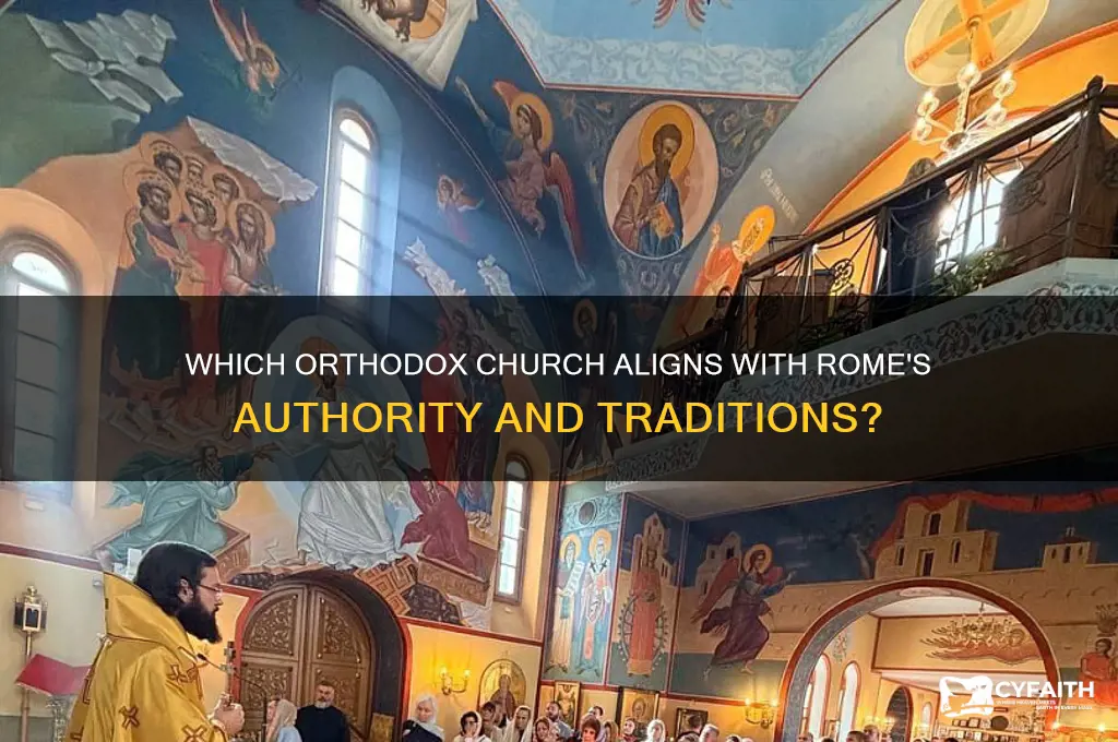 what orthodox church falls under rome