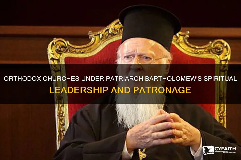 what orthodox churches are under the patronage of patriarch bartholomew