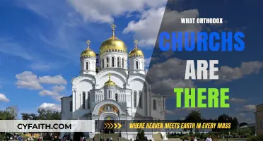 Exploring the Diverse Branches of Orthodox Christianity Worldwide