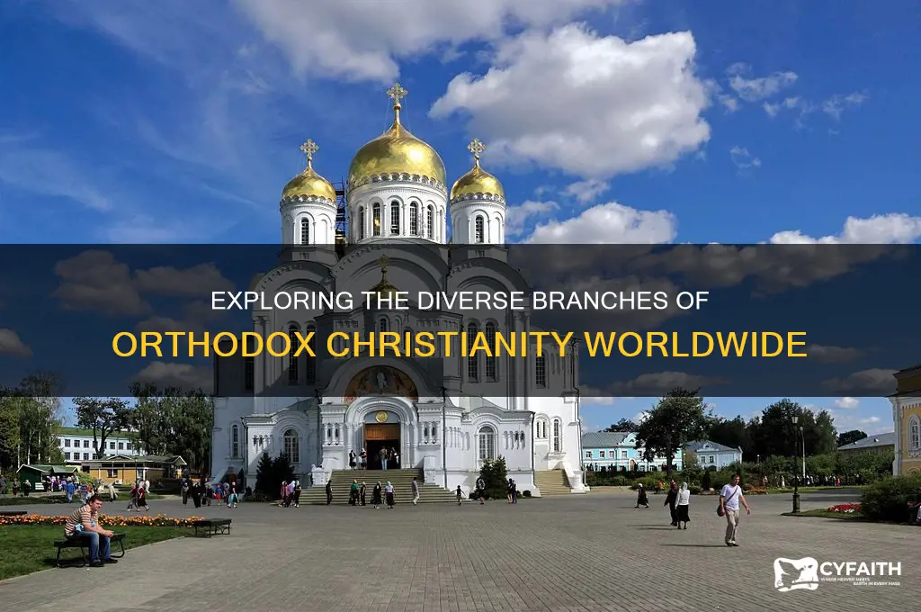 what orthodox churchs are there