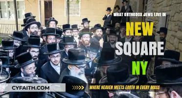 Orthodox Jewish Life in New Square, NY: A Unique Community