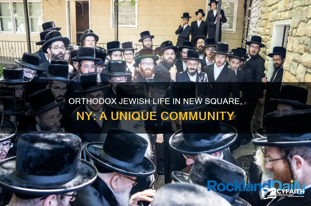 what orthodox jews live in new square ny