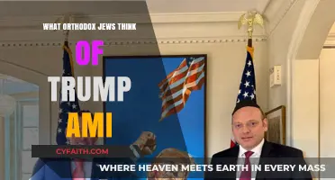Orthodox Jews and Trump: Perspectives on AMI's Influence and Politics