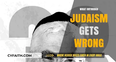 Orthodox Judaism's Missteps: Reevaluating Strict Interpretations and Exclusivity
