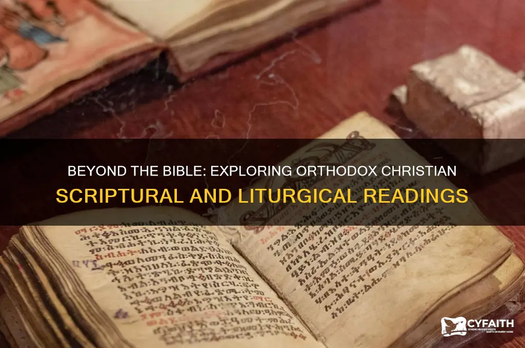 what other teachings do orthodox christians read