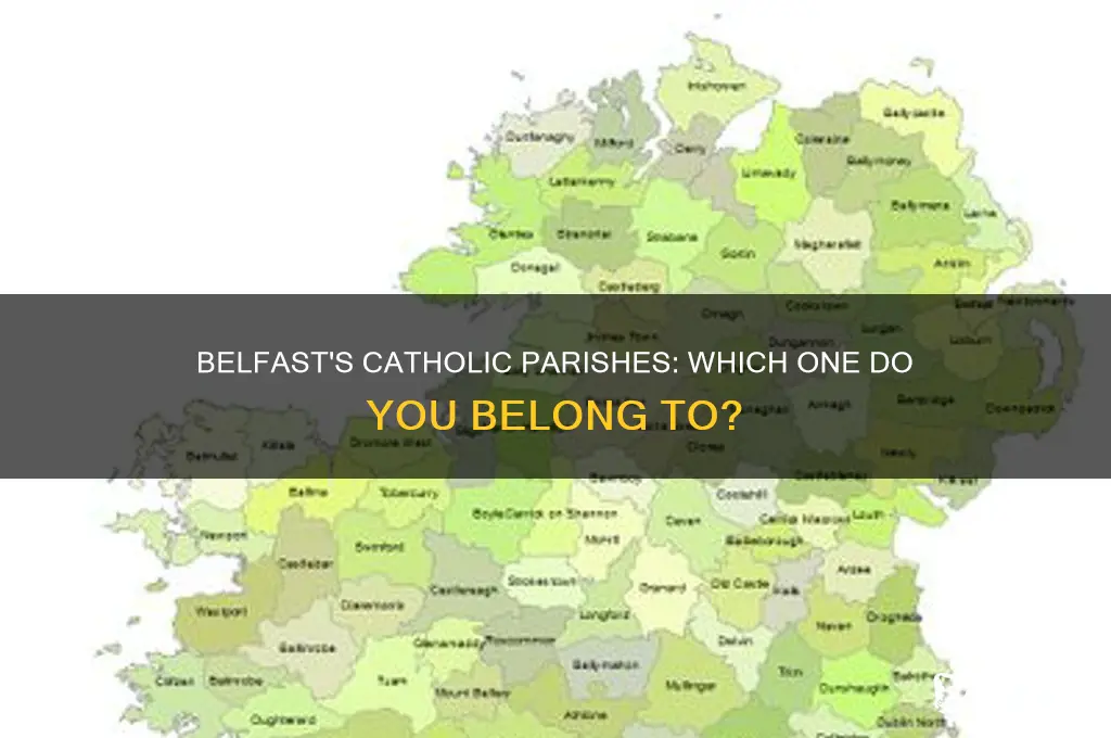 what parish am i in catholic belfast
