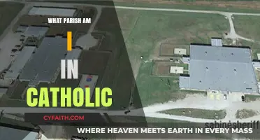 Discover Your Catholic Parish Community