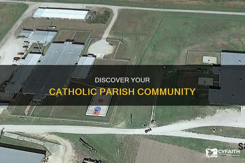 what parish am i in catholic