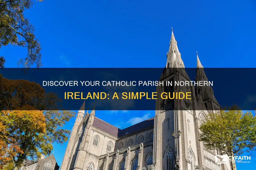 what parish do i live in catholic northern ireland