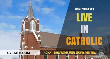Discover Your Catholic Parish: A Guide