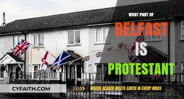 Exploring Belfast's Protestant Areas: A Cultural and Historical Guide