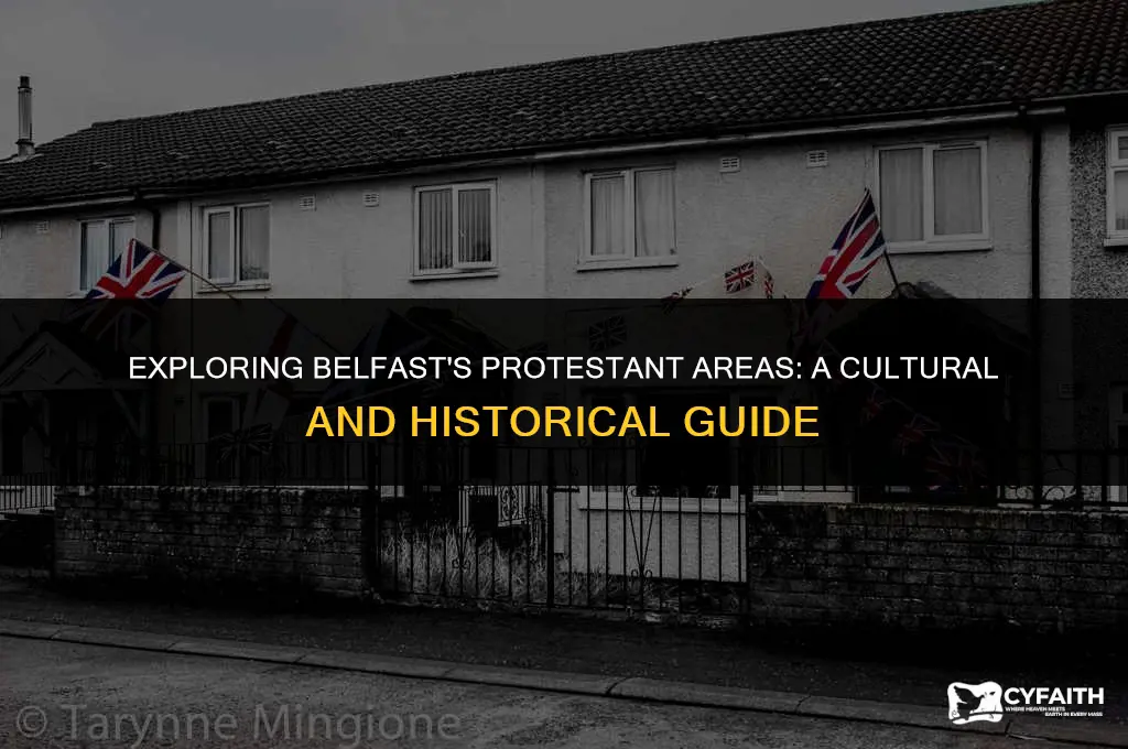 what part of belfast is protestant