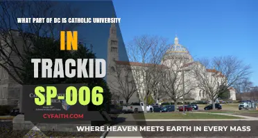Catholic University's Location in Washington, DC: A Neighborhood Guide
