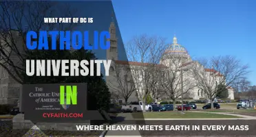 Catholic University: Exploring DC's Religious Education Hub