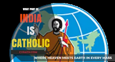 Catholic India: Regions and Religious History