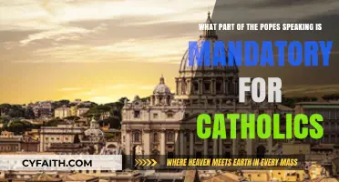 Understanding the Pope's Infallible Teachings: Mandatory Beliefs for Catholics