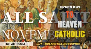 Who Goes to Heaven? Catholic Perspective Explained