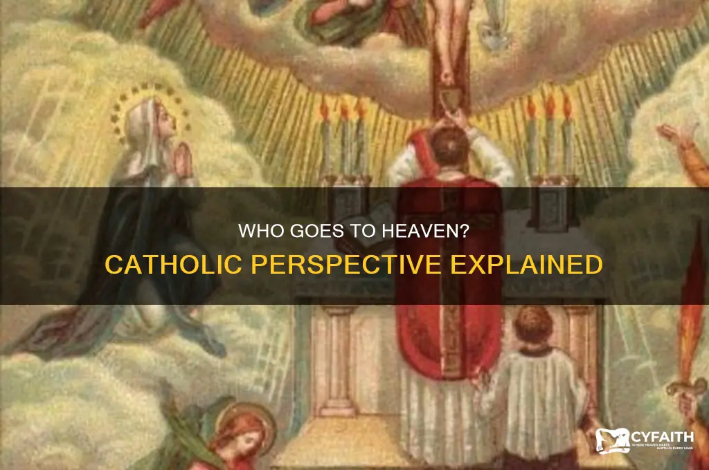 what part of us goes to heaven catholic
