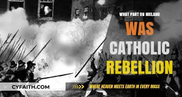 Catholic Rebellion: Ireland's Historic Divide