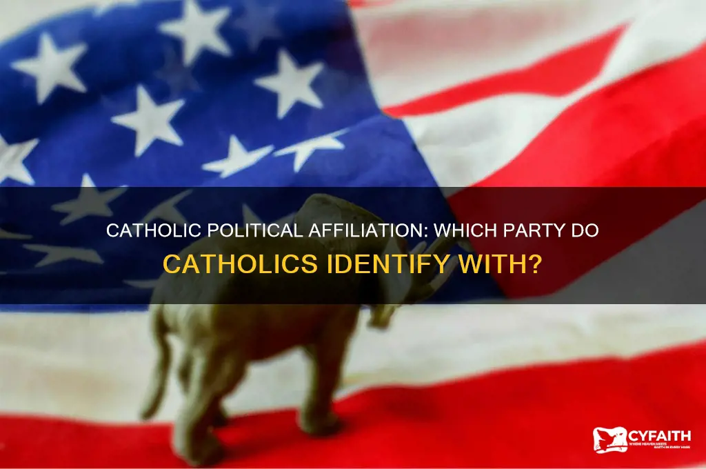 what party do catholics identify
