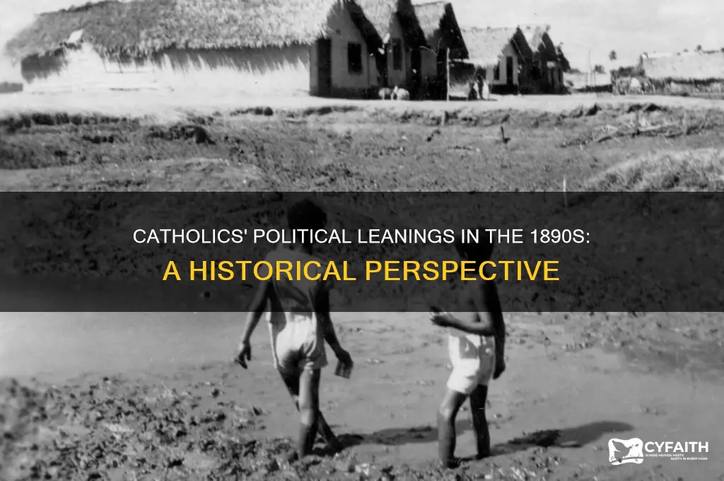 what party dod catholics support in 1890s