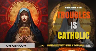 Catholics and the Troubles: Which Party Represented Them?