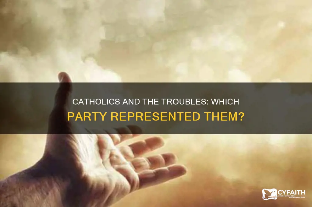 what party in the troubles is catholic