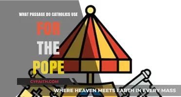 The Pope's Authority: Biblical Basis for Catholics
