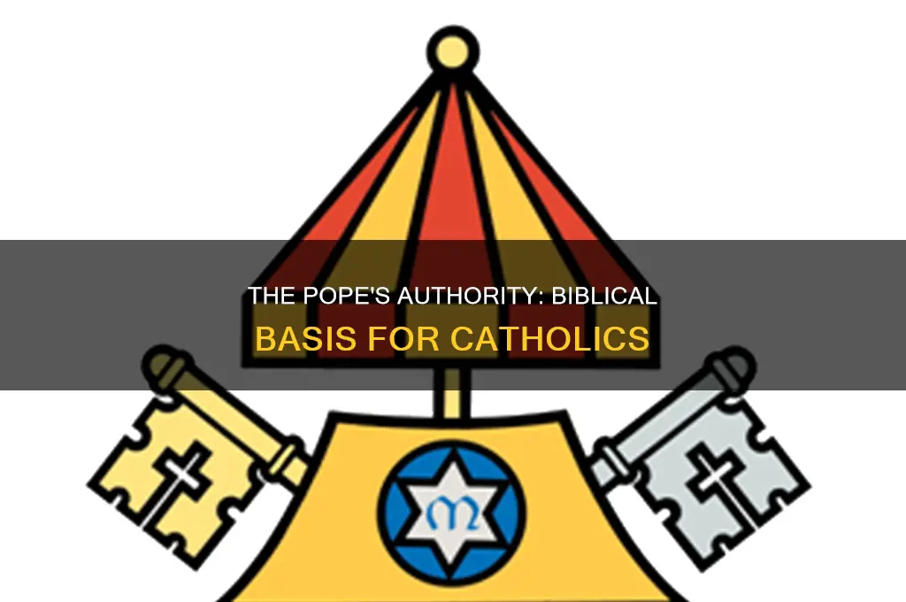 what passage do catholics use for the pope