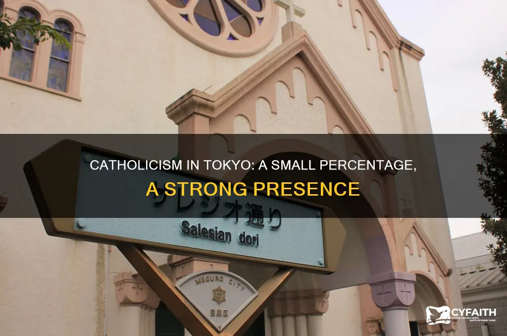 what percent catholic in toyko japan