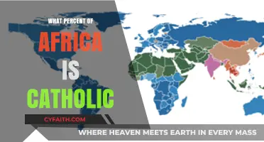 Catholic Africa: Exploring Religious Demographics