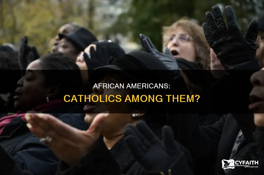 what percent of african americans are catholic
