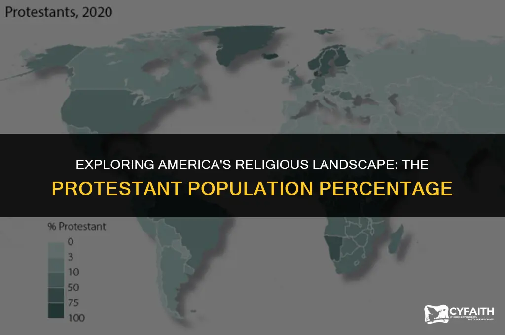what percent of america is protestant