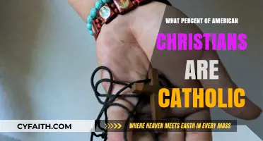 Christians in America: Catholic Percentages