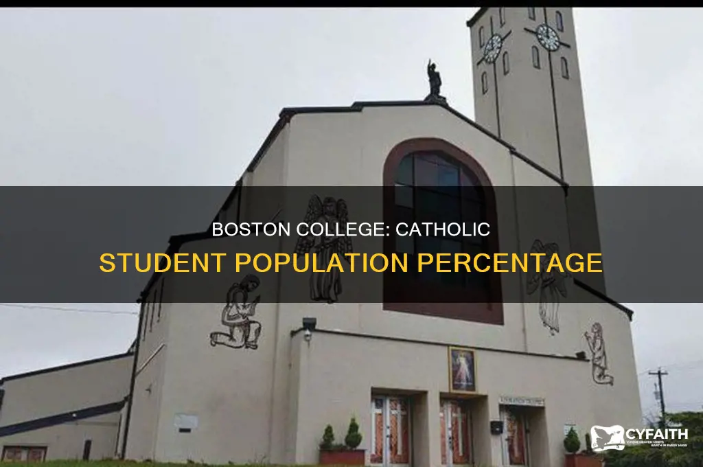 what percent of boston college is catholic